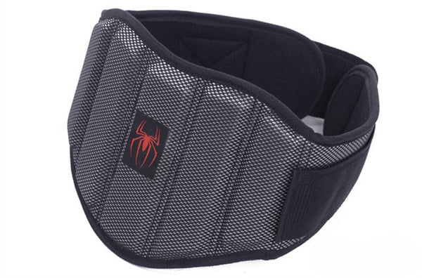 Protective Waist